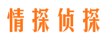 仪征市私家侦探